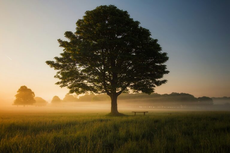 HMRC Publishes Technical Note on Inheritance Tax Changes for Pensions